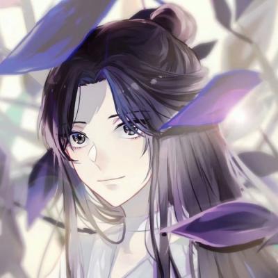 孟美岐事业